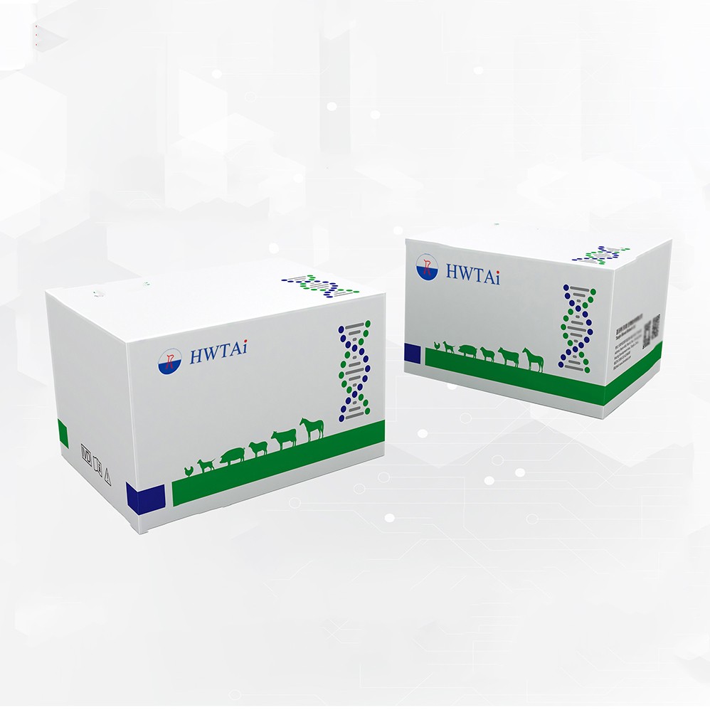 Porcine Reproductive And Respiratory Syndrome Virus Antibody Rapid Test