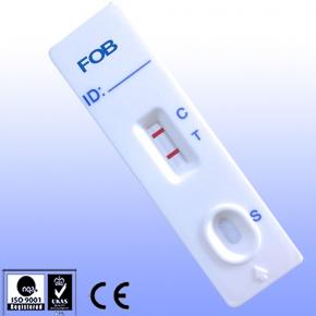  FOB Rapid Test 