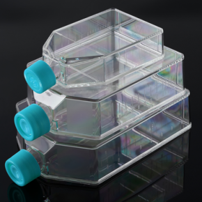 Cell culture flask 2