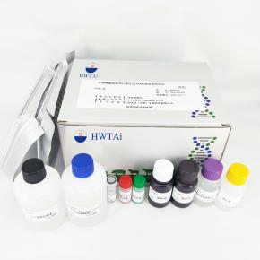 African swine fever virus CD2v protein ELISA antibody detection kit