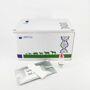 ASF Test African Swine Fever Virus Antigen Rapid Test Kit