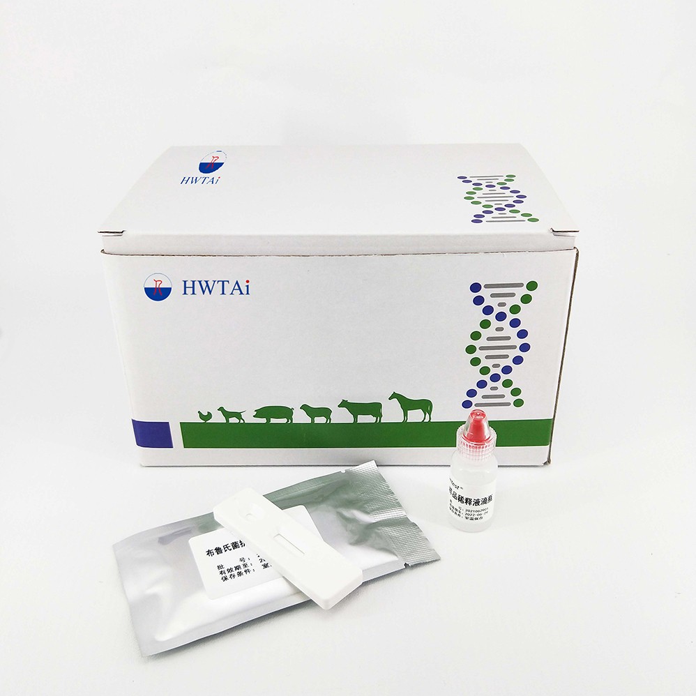 Bovine Anti-serotype A Foot And Mouth Diseases Antibody Rapid Test