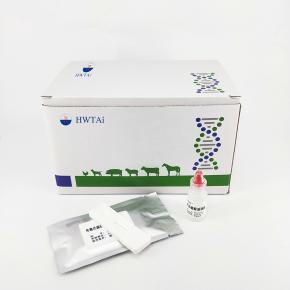 Equine Infectious Anemia Virus Antibody Test Kit