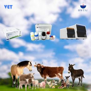 HWTAi Test Solution for Veterinary Diagnosis